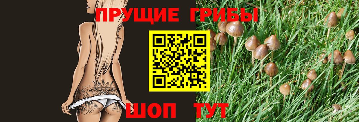 Тимашёвск  Псилоцибиновые грибы MAGIC MUSHROOMS  Вход с VPN 