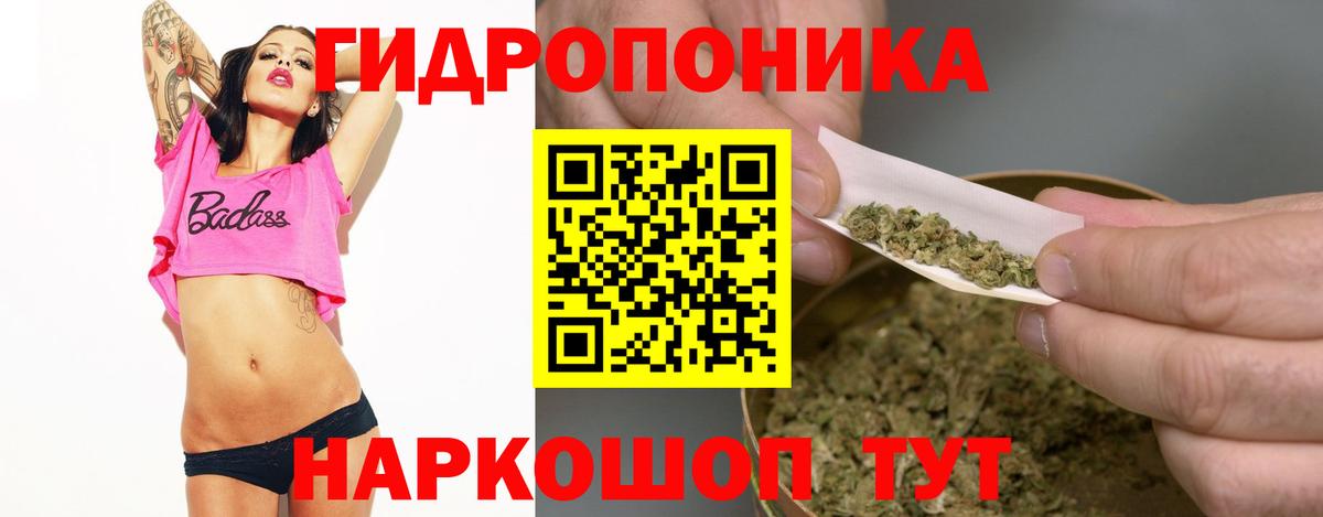 Бошки марихуана планчик Тимашёвск